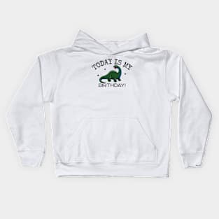 It's My Birthday Dinosaur Kids Hoodie